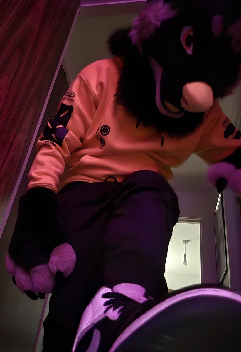 ByteDrains's tweet photo. This week is going to be a very busy and very stressful one for this Wolf. I'll need more than a few chewtoys to take my frustrations out on but be warned I may be in an especially mean mood~

#furryfindom #findom https://t.co/RW54vByH6Z
