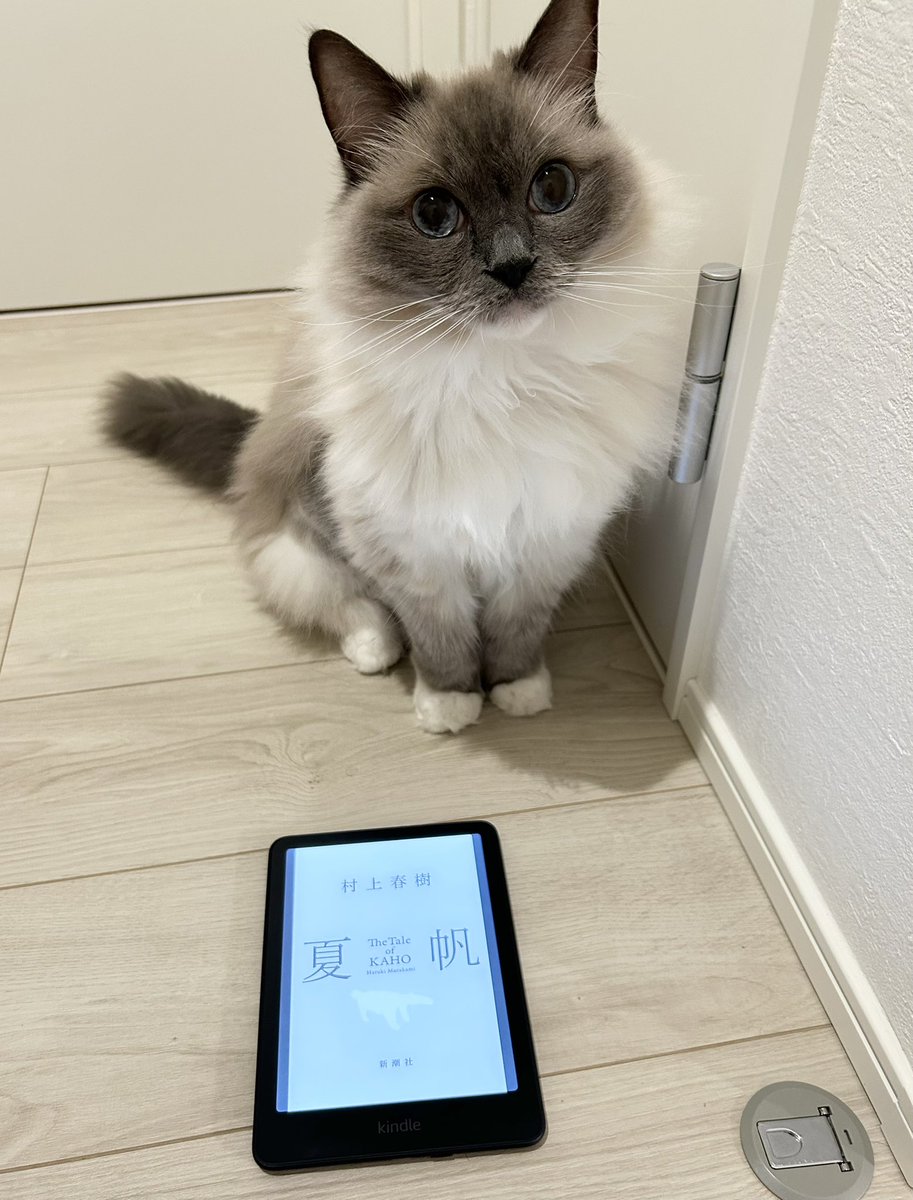 hiverthecat's tweet photo. 村上春樹の新刊『夏帆』読了。
うーん…あまり面白くなかった。いつものようにおとぎ話の要素が入っているのは楽しいんだけど…私はどうしても『1Q84』のような深さを求めてしまう。

他の人はどう思ったかな？？？

🐈7歳0ヶ月 https://t.co/Fi9kGXul0U