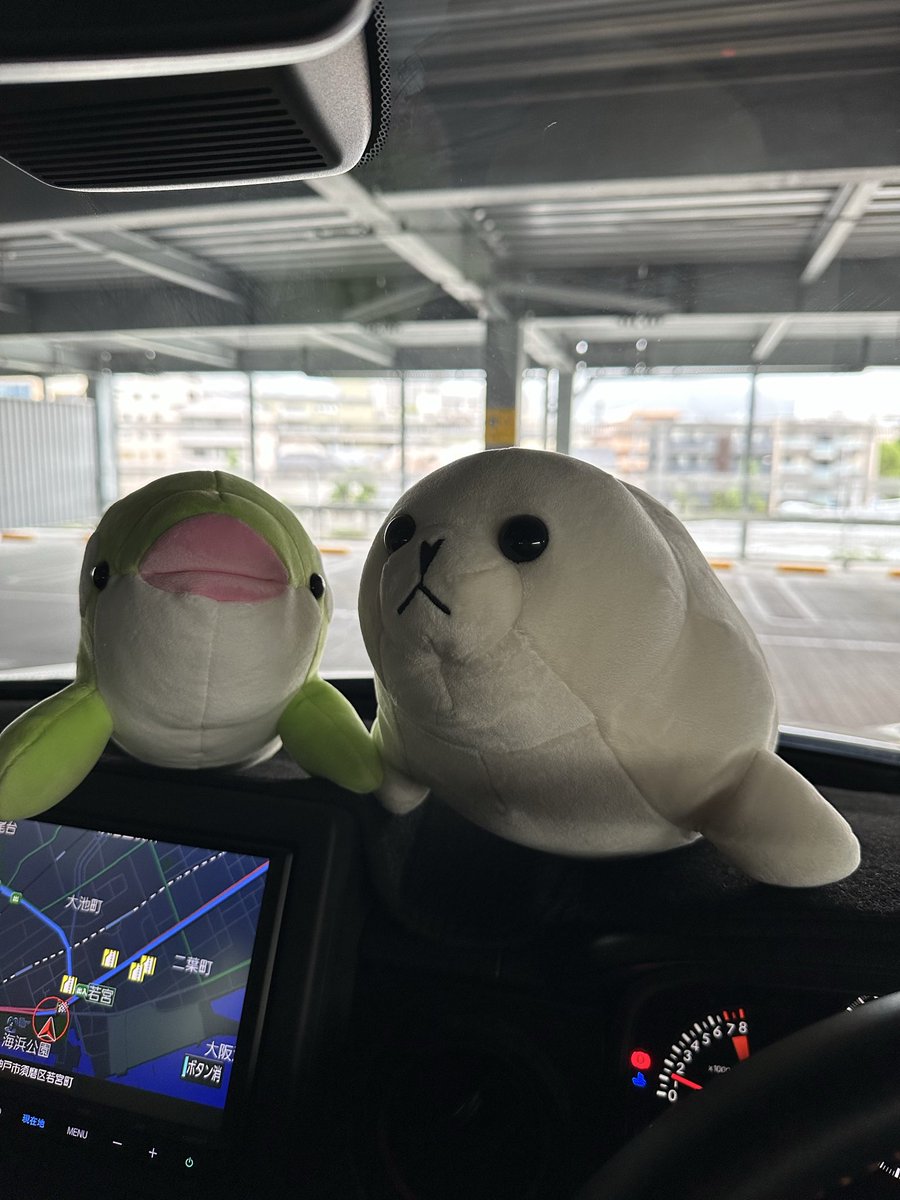 LRwof9's tweet photo. ついというか魔が差したというか仲間が増えてしまった🧸 https://t.co/7l7xHrHugB