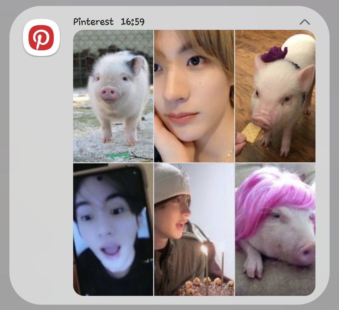 helloannchan's tweet photo. 🐖  อาละวาดมรากง่ะ  มะด่ายเลย
นางมาตาม งรืม. https://t.co/tR8hpy8WpA