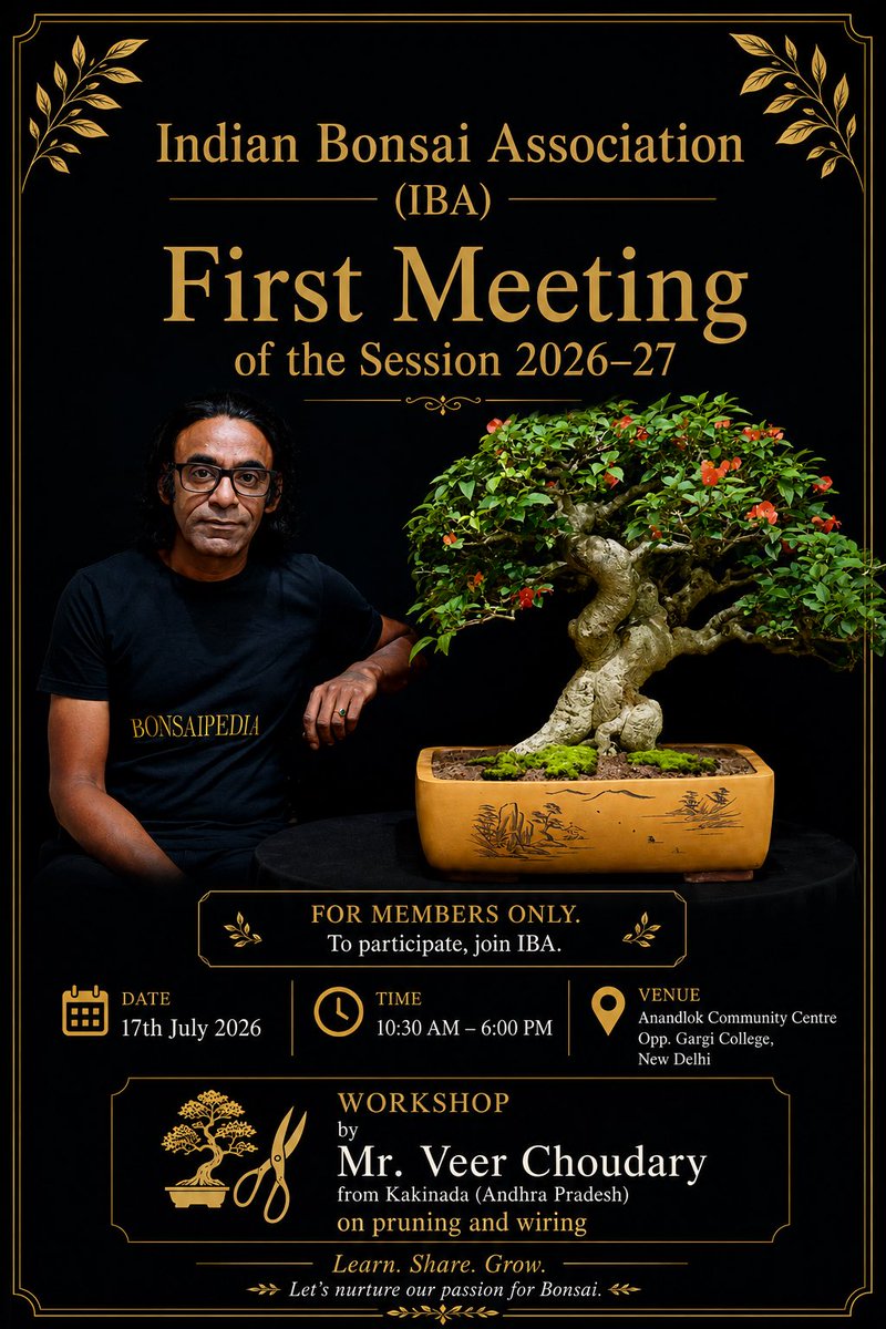 IBA_Bonsai's tweet photo. #bonsai #bonsaitree #bonsailove https://t.co/7DhDgnk6vx