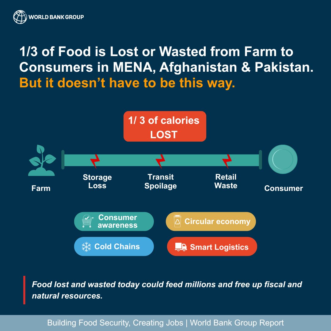 WorldBankMENA's tweet photo. 1/3 of food in #MENA, Afghanistan &amp; Pakistan is currently lost or wasted in the journey from farm to consumers. 

Logistics investments &amp; better consumer choices can help reduce such waste, helping to feed millions &amp; free up fiscal &amp; natural resources. https://t.co/dNKpiB3PjQ https://t.co/5OjcB3utX9