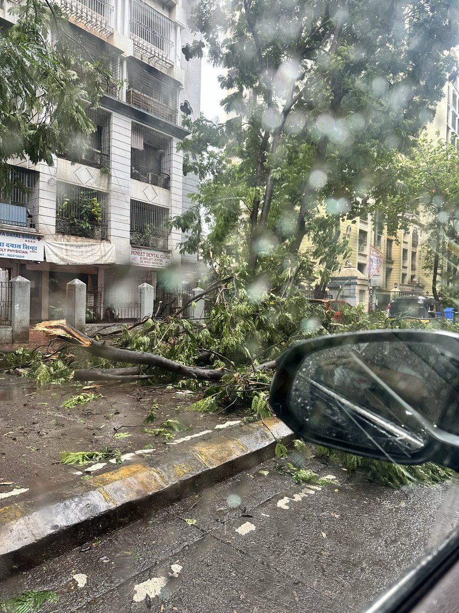 karora027's tweet photo. Two trees called fallen in Versova telephone exchange Mhada causing traffic and difficulty in walking for pass by. Near ambar paramount hotel https://t.co/LCZTJIOI1Q