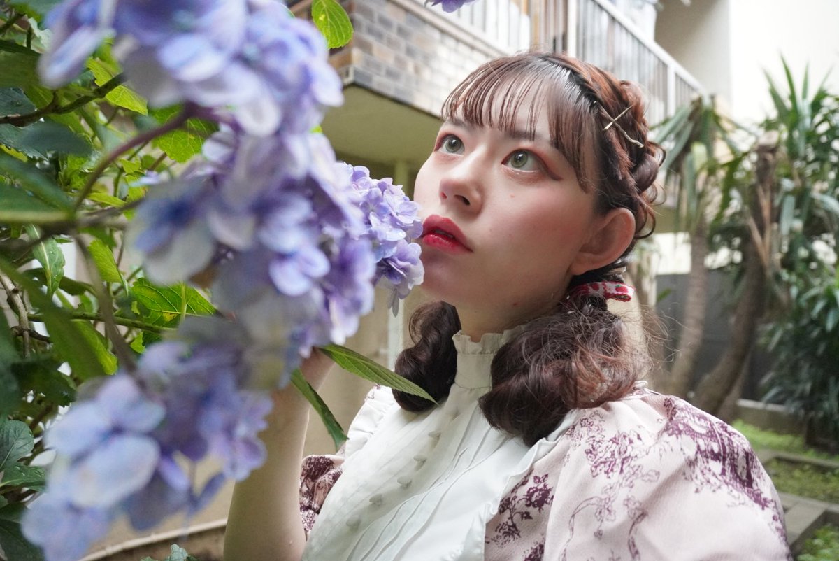 pantomimelice's tweet photo. 好き？紫陽花🌼🌸 https://t.co/8mFkXlh8bx
