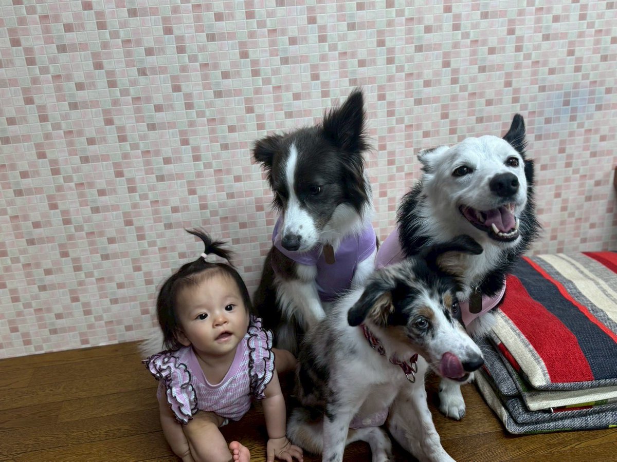 natsumin0424's tweet photo. 大阪帰省中🚄
まずは妹のワンズ🐕たちと会った♪
君たちかわいすぎる😍 https://t.co/vFBuqp1V5J
