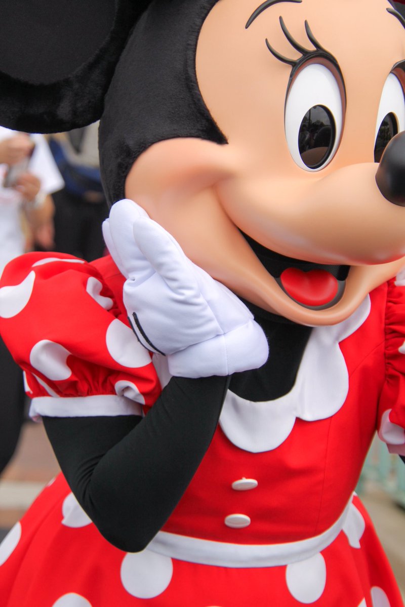 ym__minnie's tweet photo. ずっと楽しみにしてた可愛い子たちとのイン♩
みんな可愛くて自由で大好き増した😖💖
猫ちゃんたちとも会えてミキミニのお��歩に遭遇できて、雨予報だったお天気にも恵まれて幸せな1日でした~~みんなありがとうまた行こうね😽 https://t.co/kKkxbvr6tM