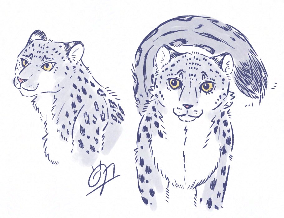 Tanitsu01's tweet photo. ユキヒョウ　描いてなくない　WOW WOW

#ユキヒョウ #イラスト https://t.co/yIw7dWkCeo