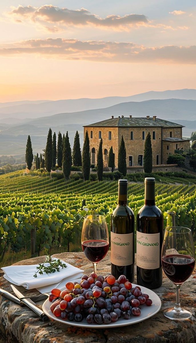 NaturalWorld515's tweet photo. 📍 Tuscany, Italy 🇮🇹 https://t.co/VBl4rP0QoU