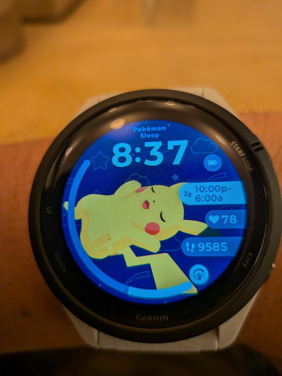 Paruzirou's tweet photo. ポケモン無料でできるGarmin https://t.co/wfNv61V61L