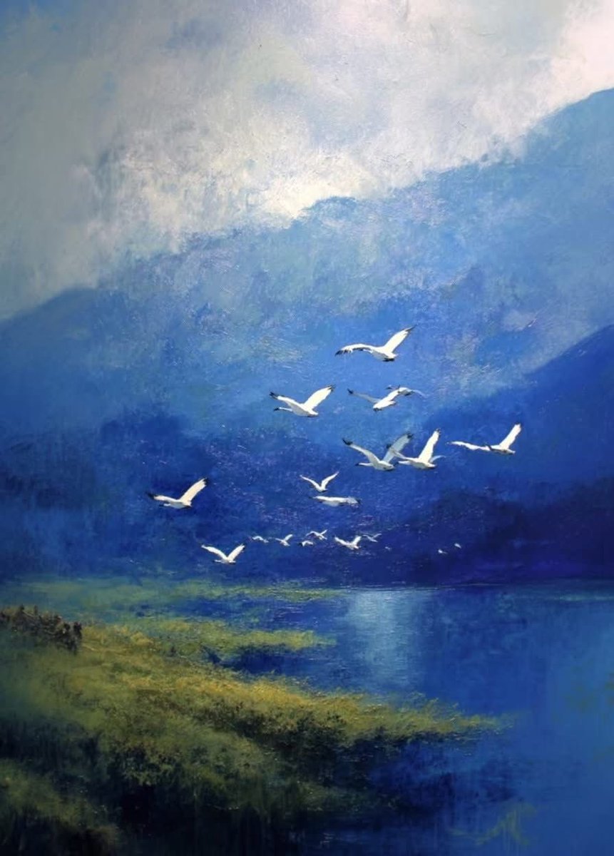 Gitana1369877's tweet photo. To rise above the mist, to move together in silence—sometimes the most profound journeys are the ones taken without a single word. https://t.co/2SWPQ751Wv