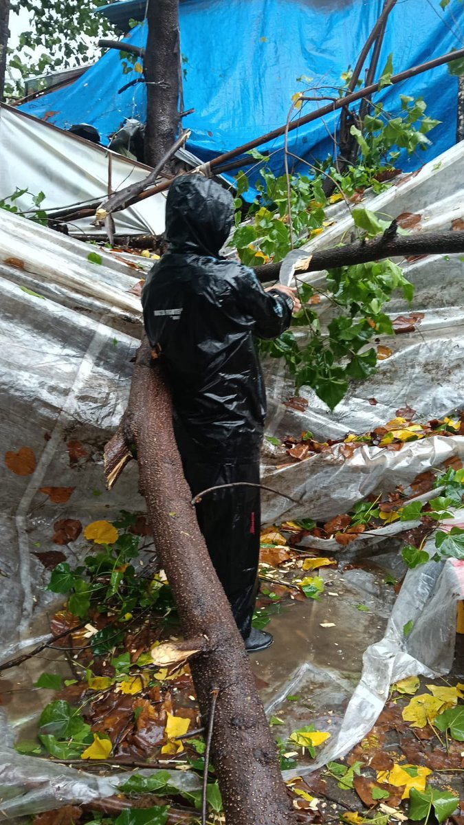 DrDivyesh1's tweet photo. Under the guidance of Honourable Minister &amp; MLA @ShelarAshish  ji, the Ward 98 karyakartas are on the streets today, collaborating with BMC officials to resolve immediate civic issues due to heavy rains. 
#AshishShelar 
#Ward98
@BJP4Mumbai https://t.co/Xp9LBm8s8s