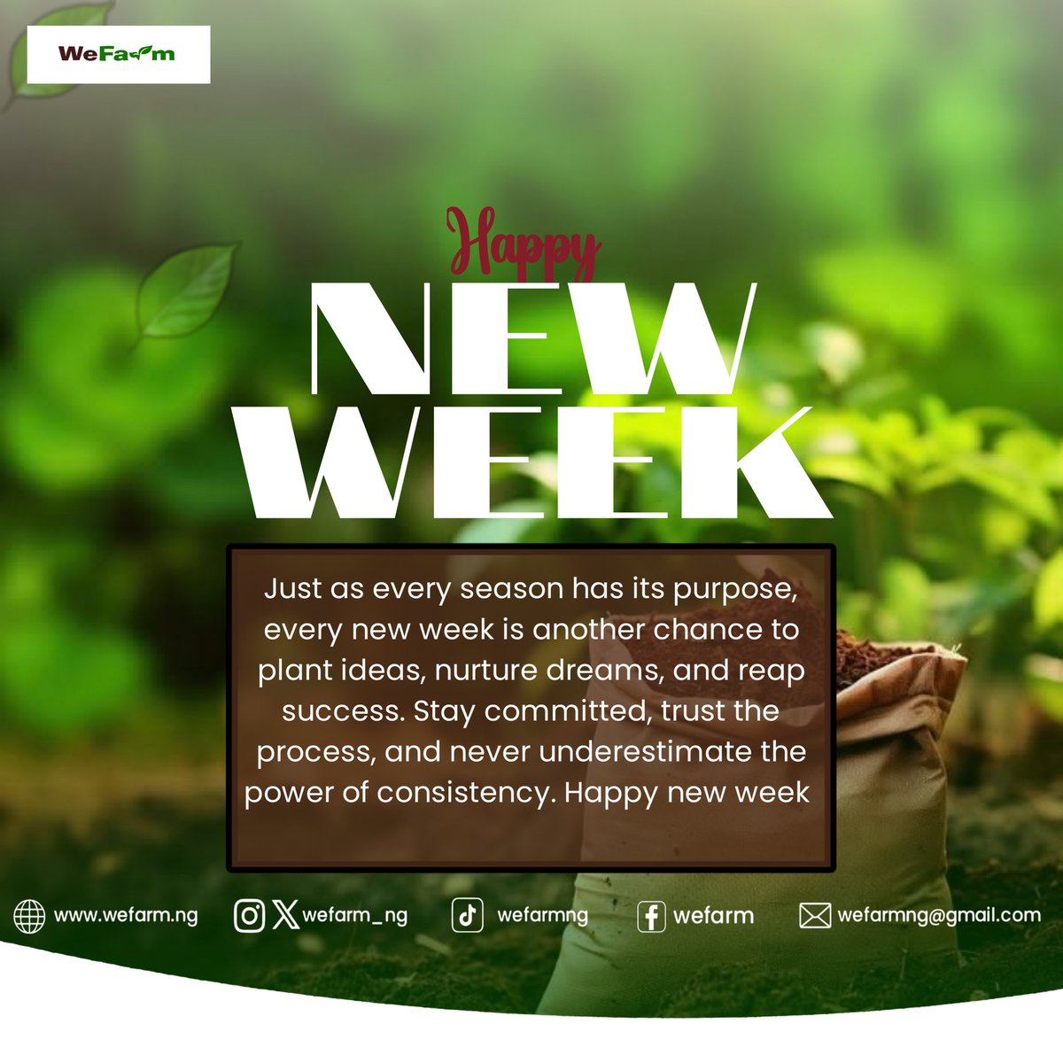 wefarm_ng's tweet photo. HAPPY NEW WEEK 
#TECH #wefarm #agriculture #foodsecurity https://t.co/2EVwfVDUbg