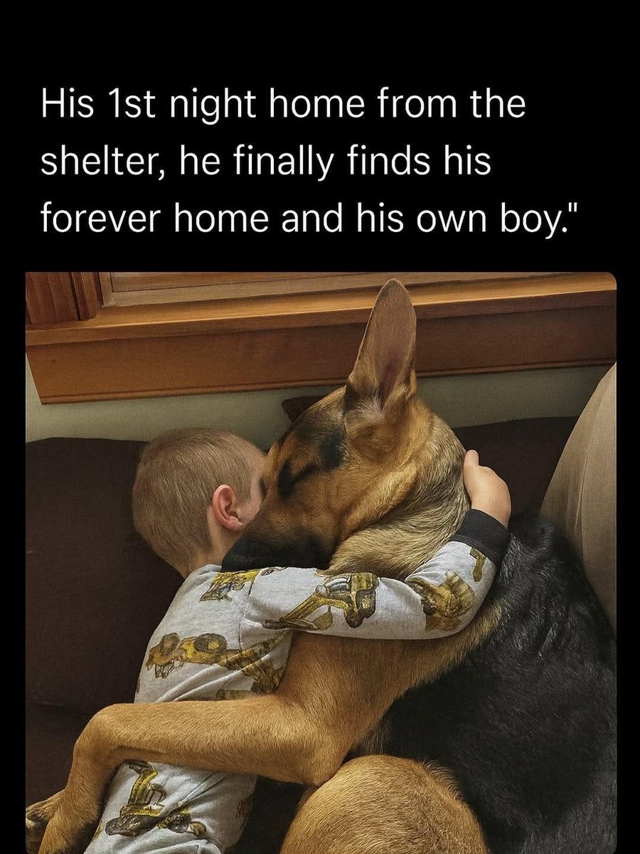Beyond_theleash's tweet photo. https://t.co/bBwR2WICA9