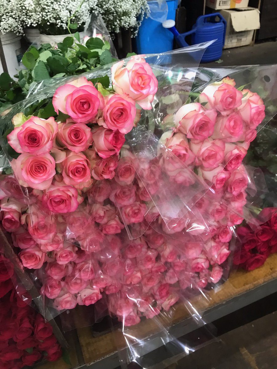 riolsie's tweet photo. 남대문 꽃시장 다녀왔어요
처음 가봤는데 다들 친절하시고
지갑 잃어버렸다가 잊지 못할 경험도 하고옴 https://t.co/aNCCl2gUJg