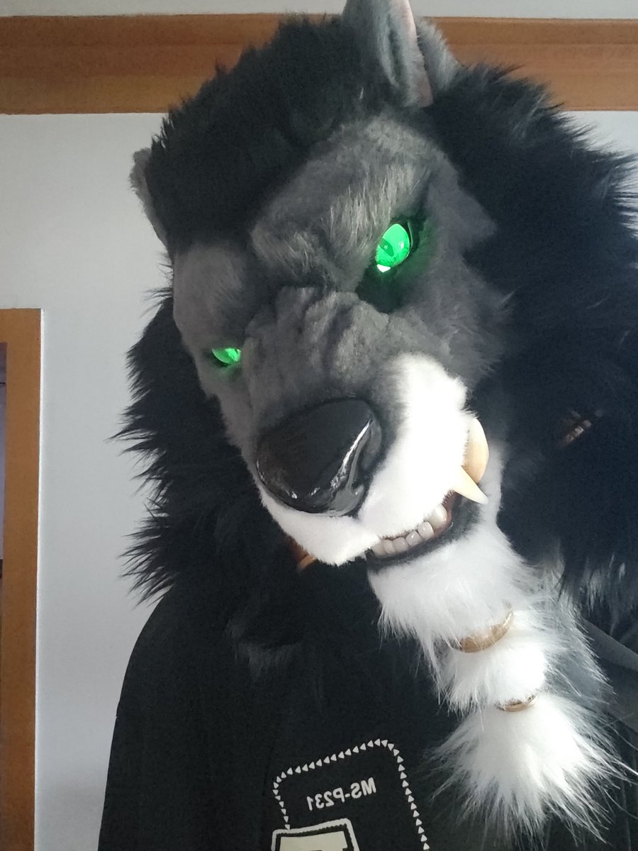 UsarWolf's tweet photo. 🐺 https://t.co/NsVSSrWdNt
