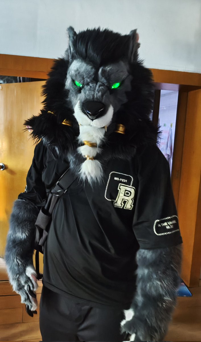 UsarWolf's tweet photo. 🐺 https://t.co/NsVSSrWdNt