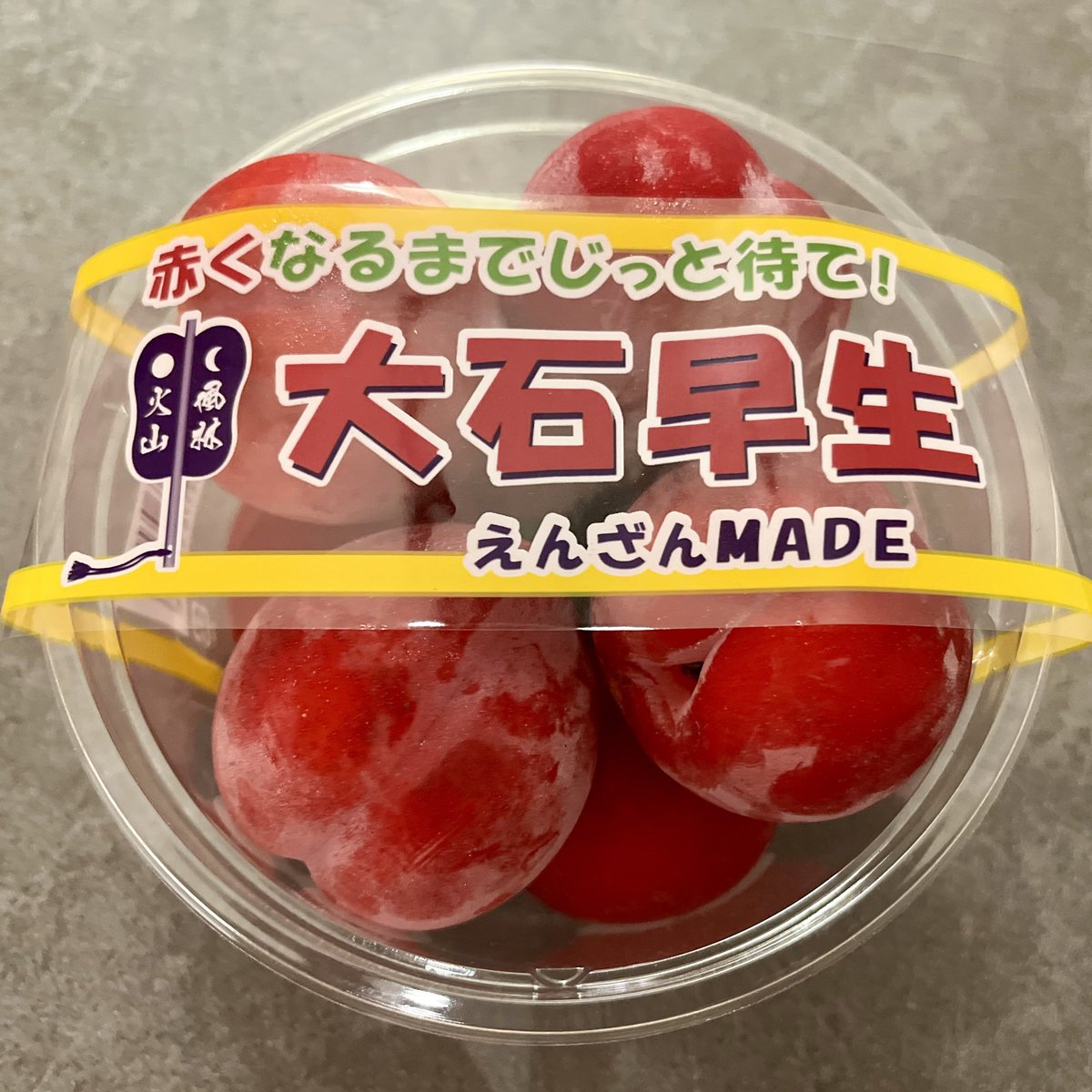 artN225's tweet photo. もーいいかい？(涎) https://t.co/D2n8WXXNIn