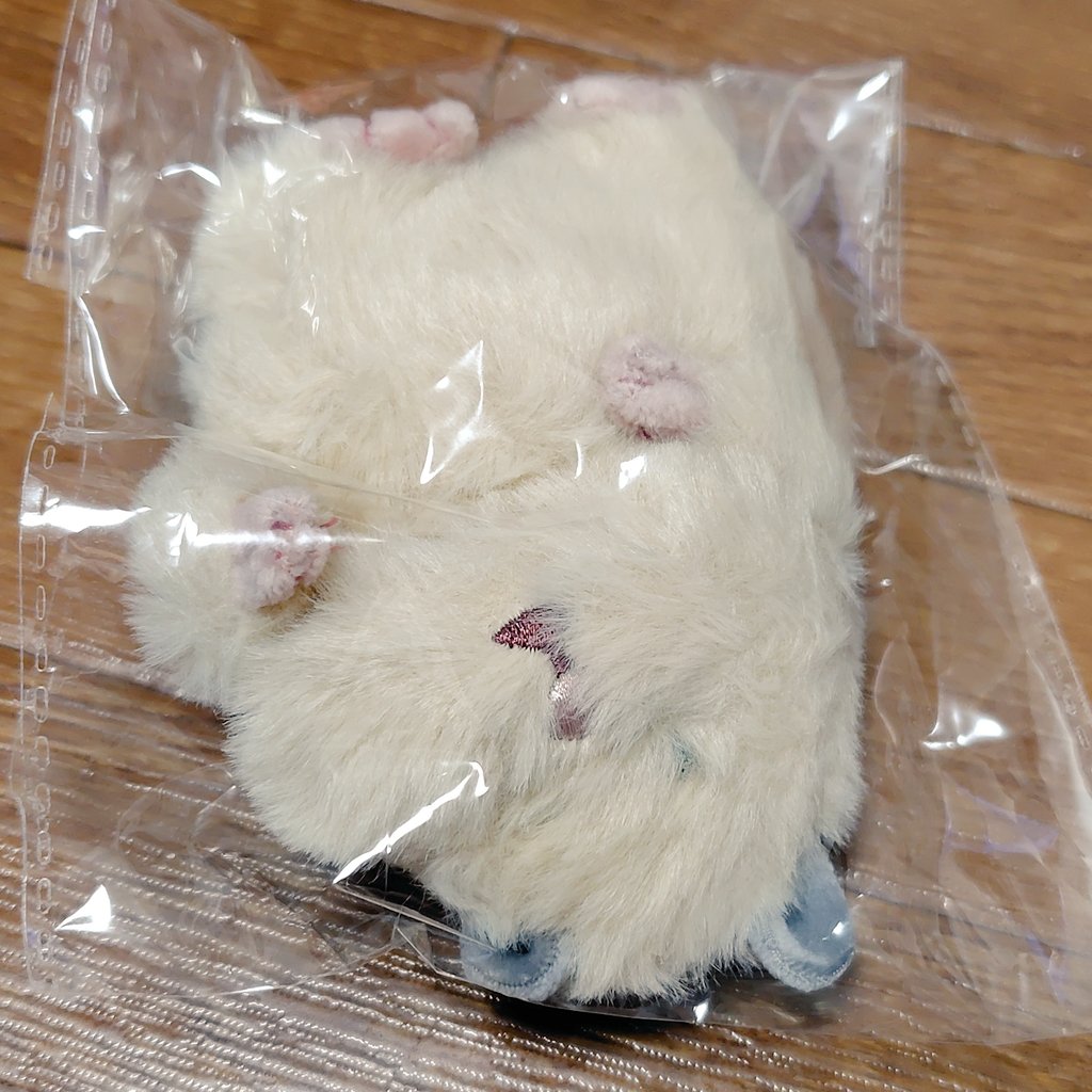 cocoro8173's tweet photo. おもち(仮)とお出かけした今日
きなこ(仮)も受け取ってきました😊

ぺっしゃんこのもっさもさ（笑）
トリミングね👍

そんな今日は
愛猫達の四十九日と月命日🍀
この子たちの名前
愛猫2匹の名前にしようかな😌💕

ちょうど白と茶だし☺️

#はむにぎり https://t.co/5IrZeYKPT8