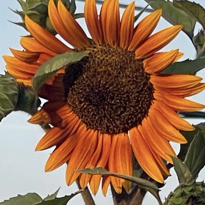 texasdust's tweet photo. #NewProfilePic https://t.co/Iaxcd95x2I