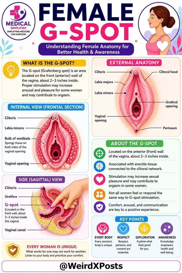 learnhealthx's tweet photo. G spot https://t.co/10oYbjp8jH