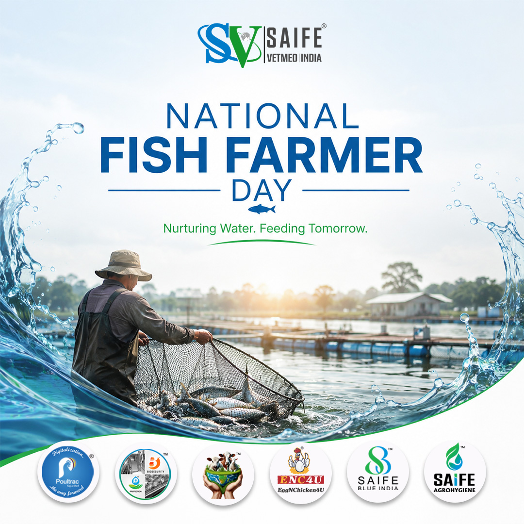 LtdSaife's tweet photo. Celebrating the hands that cultivate our waters and feed the future. 🌊🐟
On #NationalFishFarmersDay, #SaifeVetmedIndia salutes the dedication and resilience of fish farmers who drive sustainable aquaculture.
Wishing you abundant harvests, healthy stocks, and continued success! https://t.co/P0TRBxZOlP