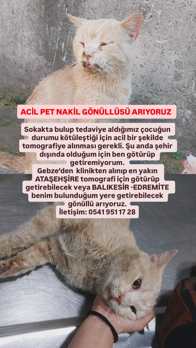 emineartann's tweet photo. @tuubagercekten https://t.co/QPRB93zsSH