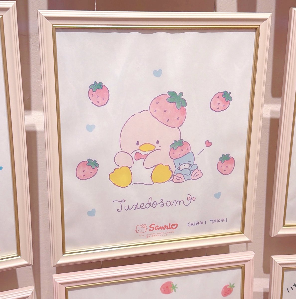 masha_mosha912's tweet photo. いちごなキキララとサムかわい🍓 https://t.co/5Rsk0AxSHC