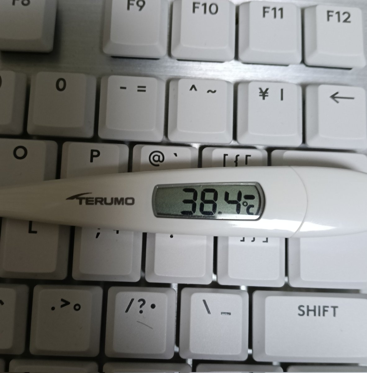 MSKocco's tweet photo. 大絶賛社畜生活に、体温という概念は存在しません😷 https://t.co/vJUir89OoO
