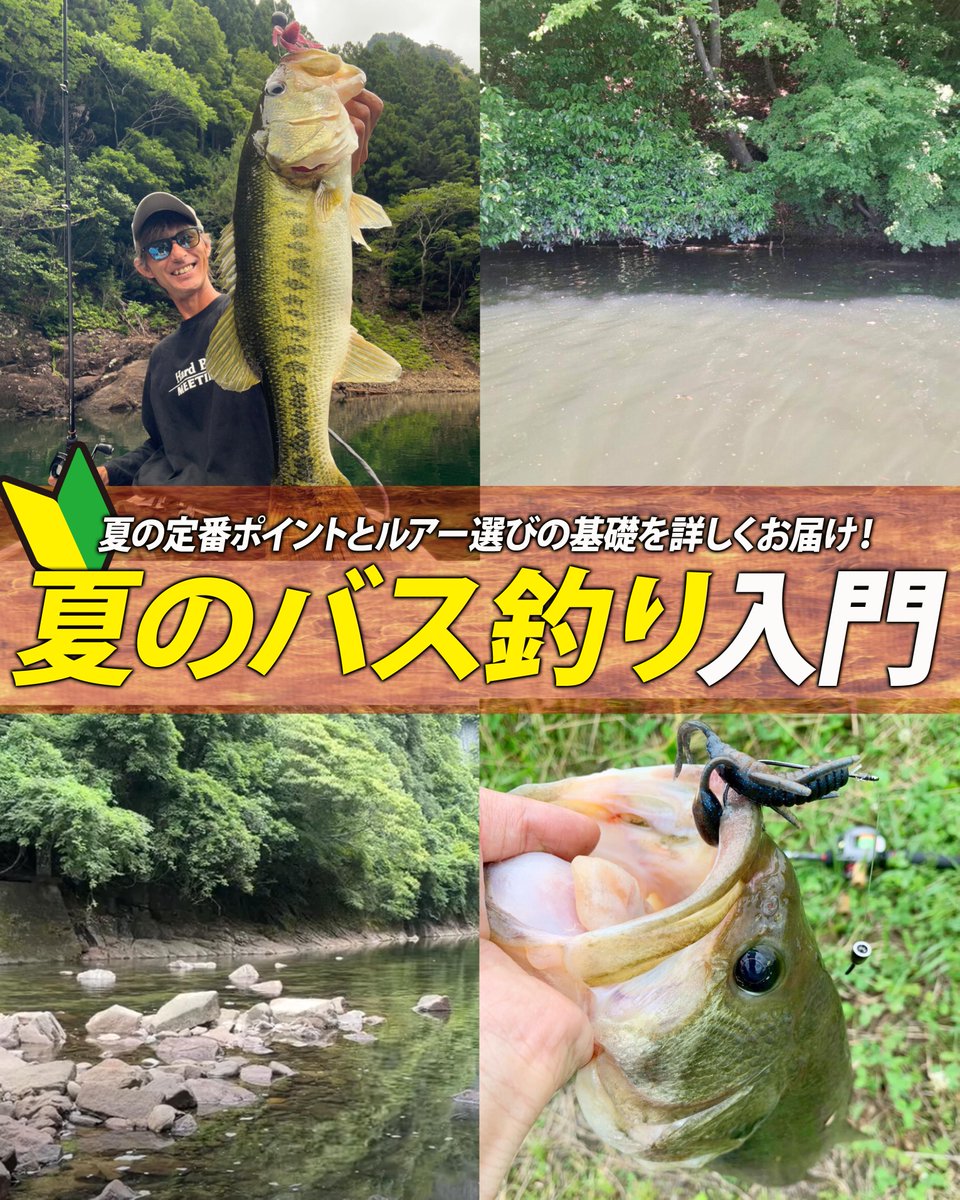 いよいよ夏バスシーズン開幕☀️ ルアーニュースRで「夏のバス釣り入門