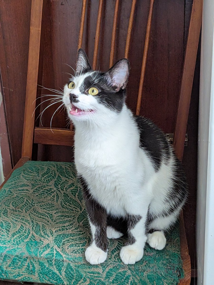 rom_charmer's tweet photo. He is such a dork https://t.co/OITaYZehfm
