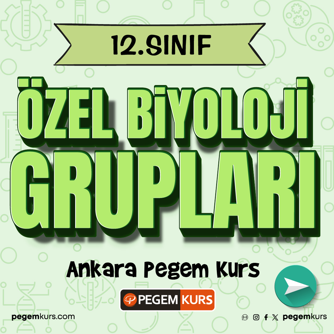 PegemKurs's tweet photo. 12. Sınıf Özel Biyoloji Gruplarımız açıldı!

Ayrıntılı bilgi ve başvuru için 👉🏻 https://t.co/A8ceWrabRd

#pegemkurs #ankarapegemkurs #pegem #sınavahazırlık #ykskurs #tytkurs #aytkurs #erkenkayıt #hayallerinvarhatırla #biyolojikursu #özelders https://t.co/Xtmc8UILFb