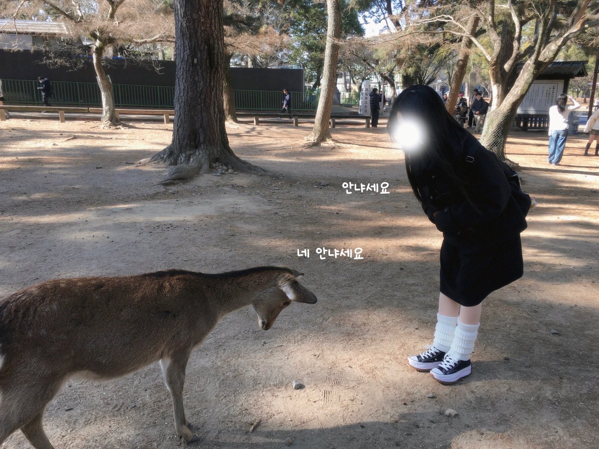 oeoxun's tweet photo. 갑자기 일본의 공기가 그리워짐 (っ ̯ - ｡) https://t.co/U6iDmxiZ4f