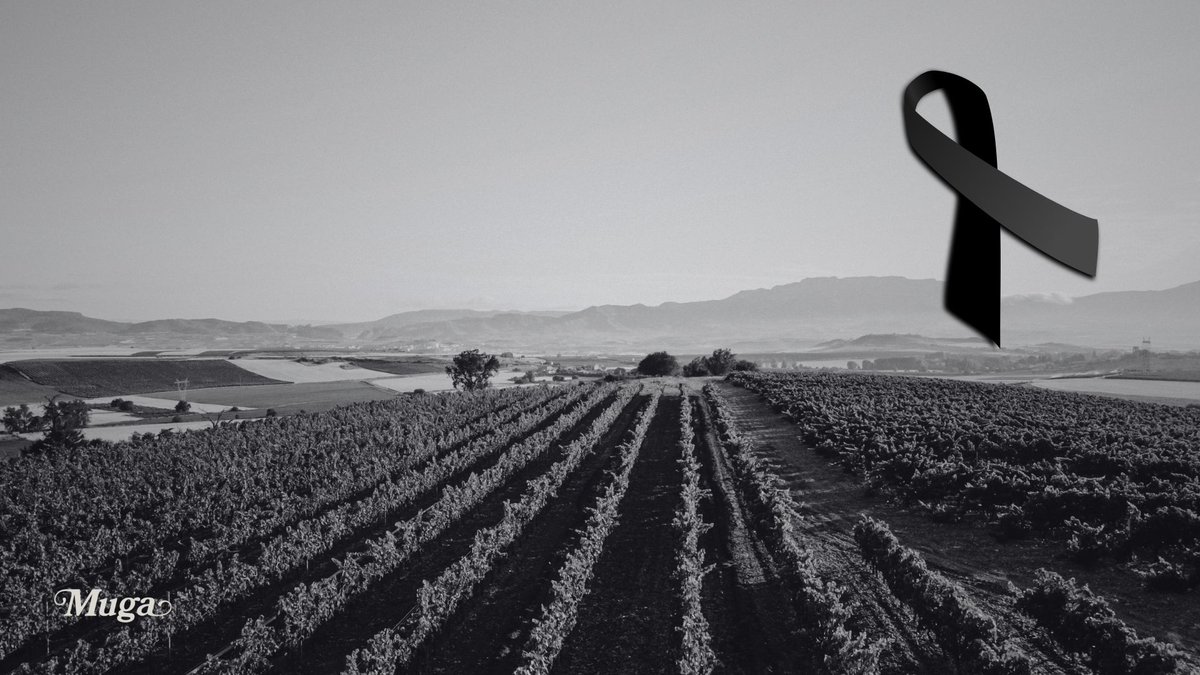 bodegasmuga tweet picture