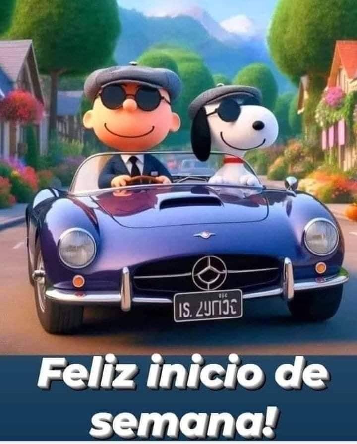 anaidcaban's tweet photo. Buenos días ☀️ https://t.co/qESyS0jUdC