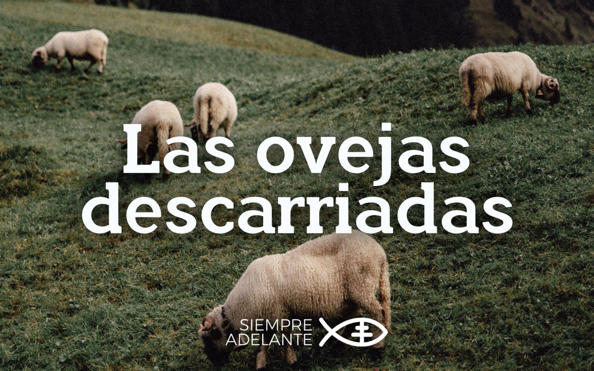 Archisevilla1's tweet photo. #EvangelioDelDía| Mt 10, 1-7. Id a las ovejas descarriadas de Israel. 
https://t.co/l6M8uYpQff

#PalabraViva #SiempreAdelante https://t.co/nxXiG5j0nx