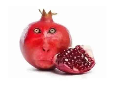 mozersuckz's tweet photo. Pomegranate https://t.co/xBitPrHRgG