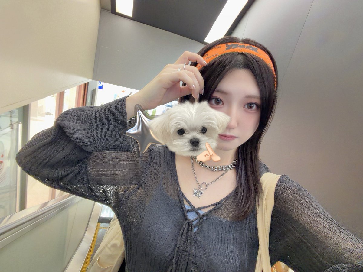 lily_____000's tweet photo. やっぱ黒髪安定👻 https://t.co/lwdR1j3azo