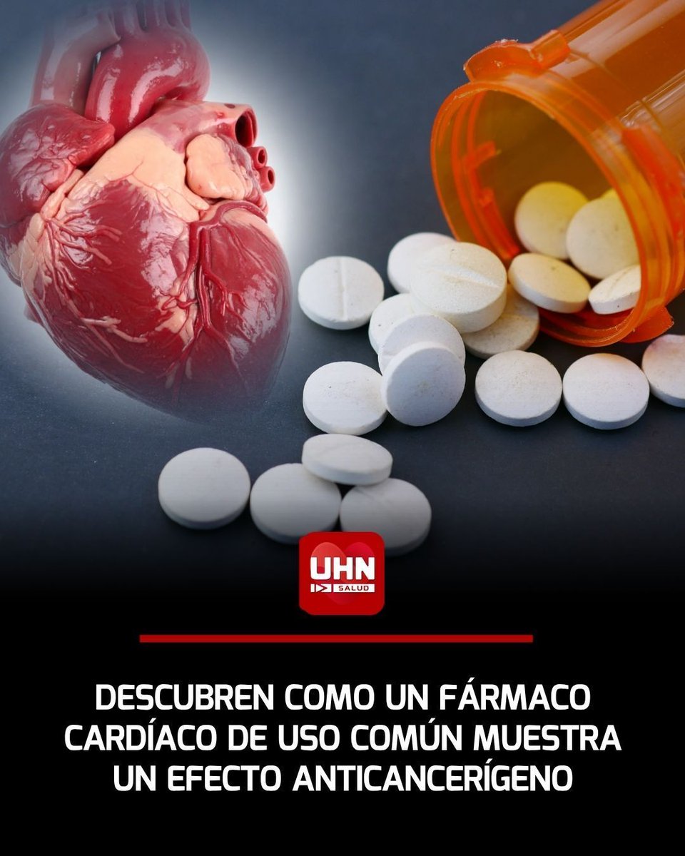UHN_Plus_Salud's tweet photo. 🇯🇴‼️ | Un estudio liderado por la Universidad Privada de Ciencias Aplicadas de Amán reveló que la dobutamina, un fármaco utilizado desde hace más de 40 años para la insuficiencia cardíaca, logra frenar el crecimiento de células tumorales en el cáncer de estómago, de hígado, mieloma múltiple y osteosarcoma. Los investigadores demostraron que el medicamento actúa bloqueando directamente la proteína ROCK2, un interruptor molecular que impulsa la proliferación y resistencia de los tumores.
