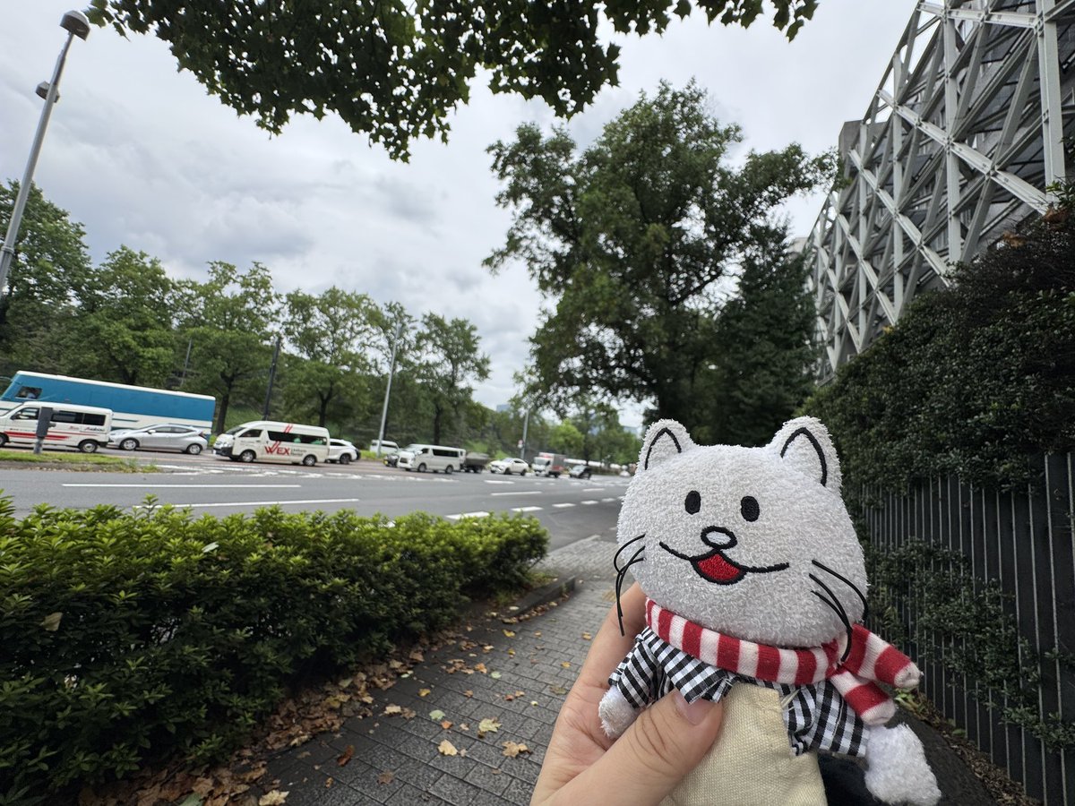 systemcheck0236's tweet photo. 東京ドームだよ、ニコル！
奇跡起きたね！
ハロ嫁の哀ちゃんが道路に投げ飛ばされておっちゃんがかばったとこと、ワニが撃たれたところの聖地巡礼もしてきた！
楽しかったー！！！ https://t.co/ZB6yHfRikx