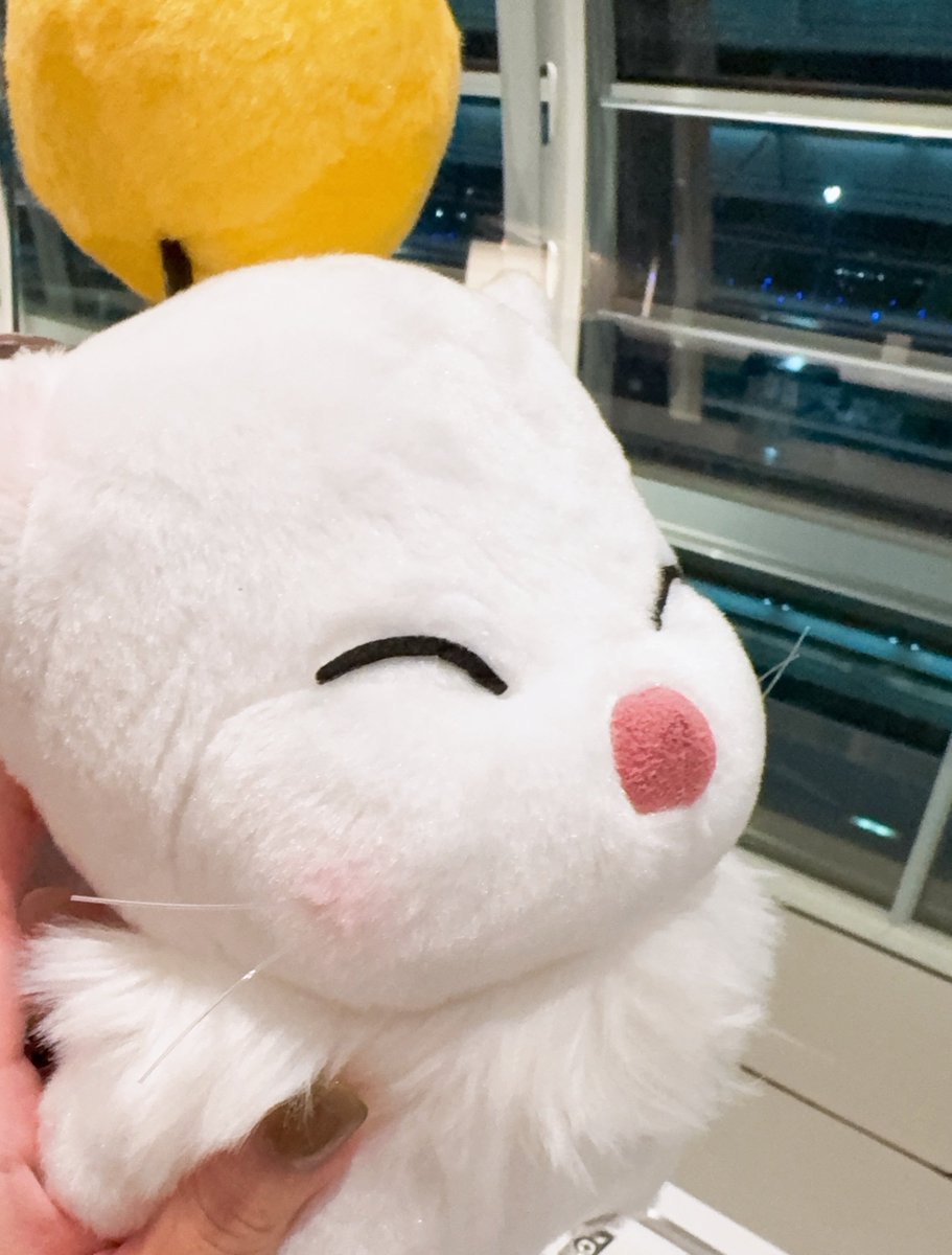 DDFF_888's tweet photo. こっそりもうひとりいる😚 https://t.co/35x5gsLptv