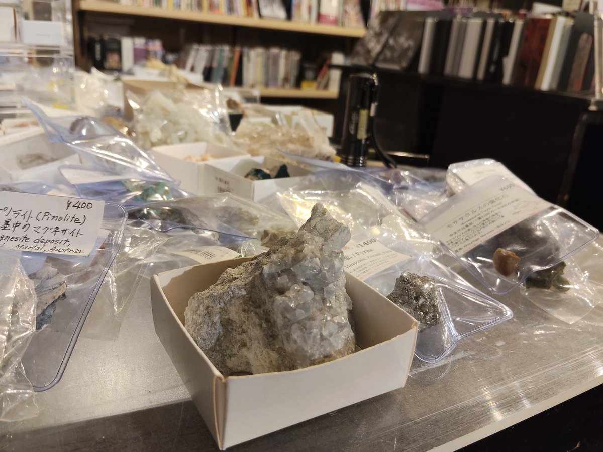 fukurasha's tweet photo. 【新入荷のお知らせ】
石が新しく入りました。
アメシストや水晶などの結晶、アンモナイトや魚の歯の化石など、地球が生み出した美をご覧ください。
桜坂劇場1階売り場にて展開中です。

#ふくら舎 #桜坂劇場 #鉱物 #石 https://t.co/Xk9upBNLfL