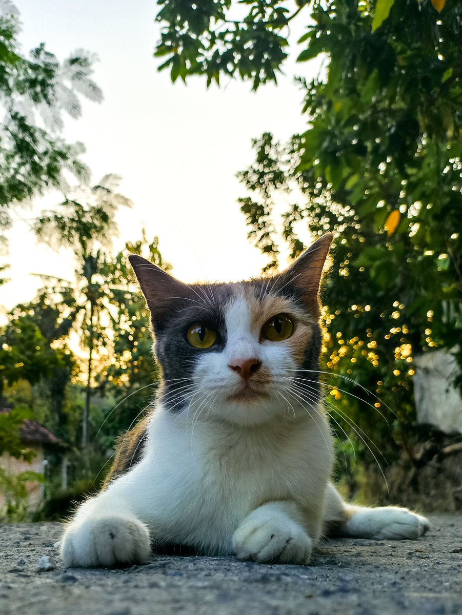 spgkangkung's tweet photo. Kalo nampak ngga berguna gini boleh di bawa pulang tidak? https://t.co/vGx59ZkFSY