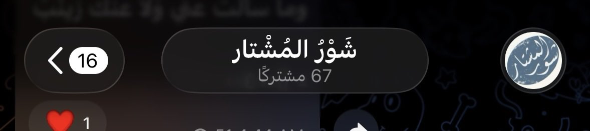 سالم tweet media
