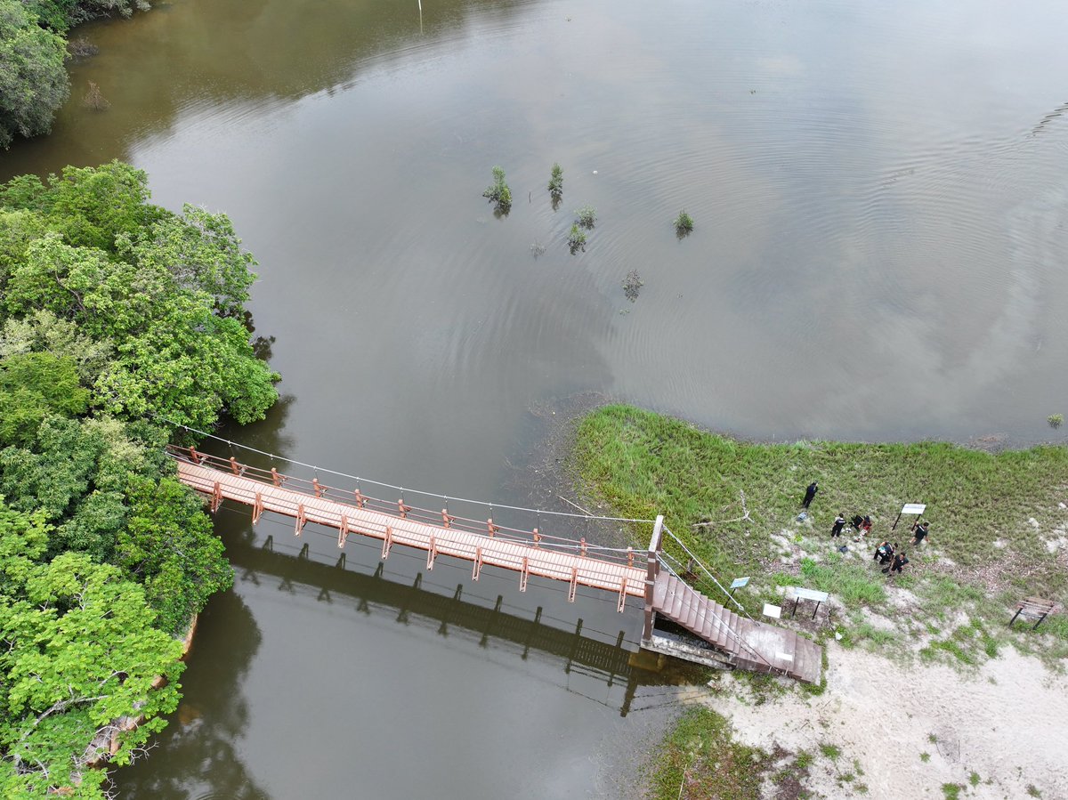 PERHILITAN's tweet photo. TASIK MEROMIKTIK DI TAMAN NEGARA PULAU PINANG! 🌊🌲

🔹 Lapisan Atas: Didominasi oleh air tawar daripada aliran sungai dan air hujan yang bersifat lebih sejuk serta kurang tumpat.
🔹 Lapisan Bawah: Menakung air laut masin yang melimpah masuk ketika fenomena air pasang besar, https://t.co/PRglxivFcx