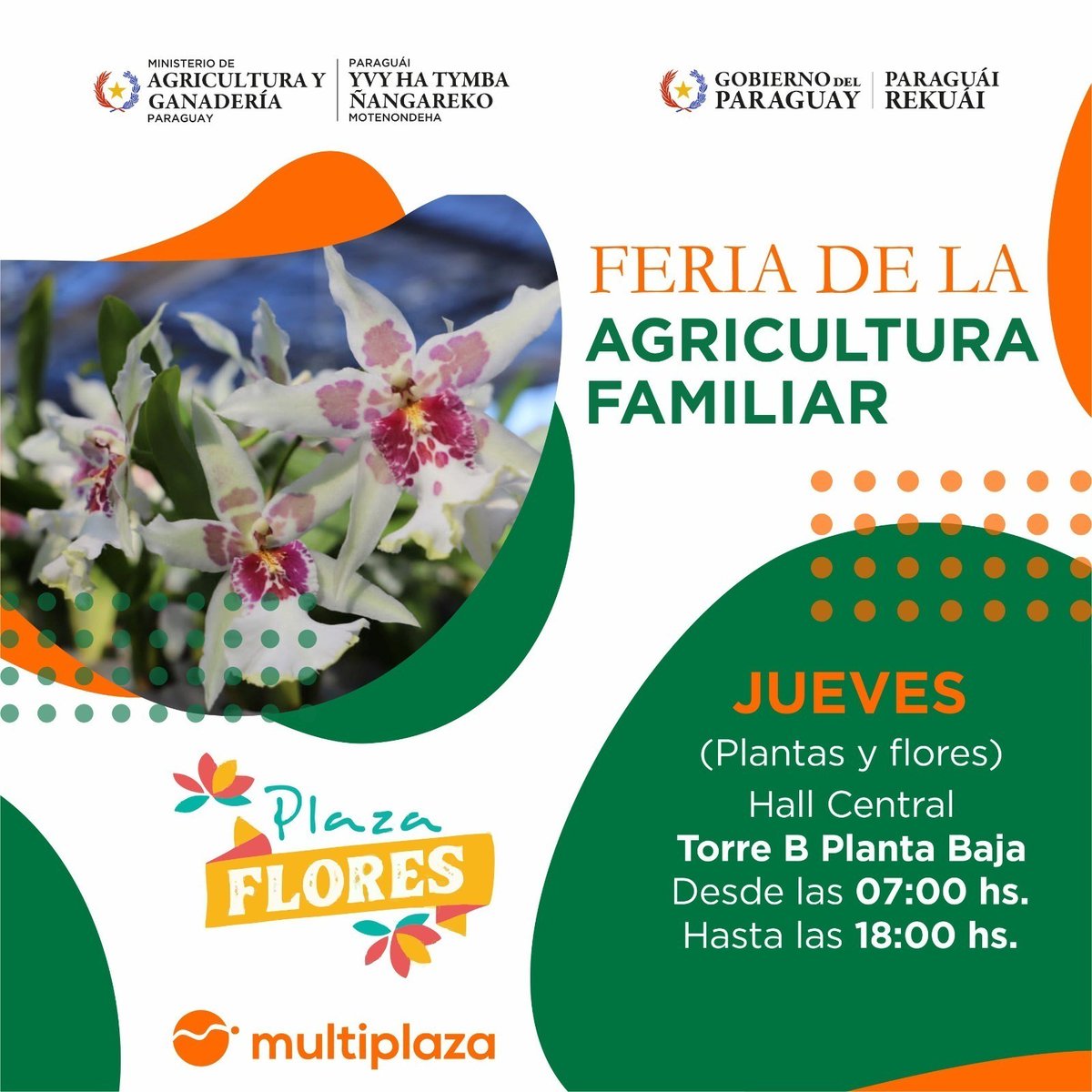 magparaguay's tweet photo. 🧑‍🌾🌽 ¡Esta semana, apoyá a la Agricultura Familiar!

Del 6 al 10 de julio, te invitamos a recorrer las Ferias de la Agricultura Familiar en Asunción, San Lorenzo, Itauguá y Caacupé.

🔗 Leé más: https://t.co/MF8QA1stA3 https://t.co/0o5KCtZqfU