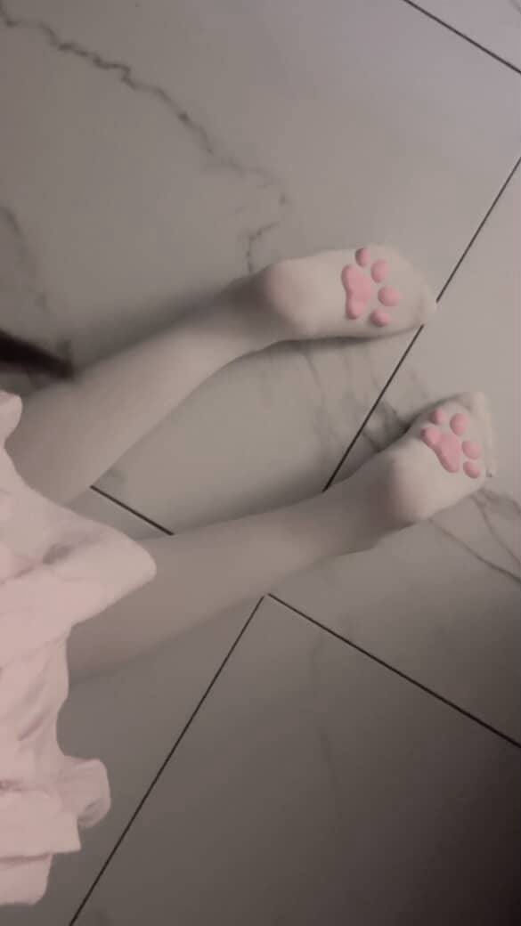 slvttyevie's tweet photo. 🎀 i wish dada would play with mi paws >.<

#nsfwtwtًً #nsfwtwt #nsfw #cnc #nc #nl #nolimit #cunny #lowlvl #groommetwt #paws #pawsocks https://t.co/Jk9BKbwTRZ