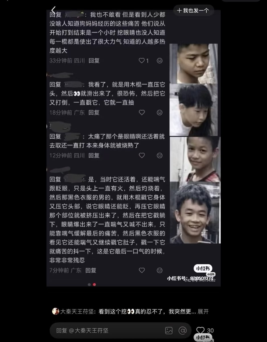 tyrt5639vhnd839's tweet photo. 6月28日、中国・掲陽市で、4人の少年が野良の母犬と、生後わずか2週間の子犬3匹を虐待し、死に至らしめました。動画には、彼らが犬たちを木の棒で何度も殴り、刺し、その後、母犬に可燃性の液体をかけて火をつける様子が映っています。 @nhk_news @japan https://t.co/58Fu7IuvVS