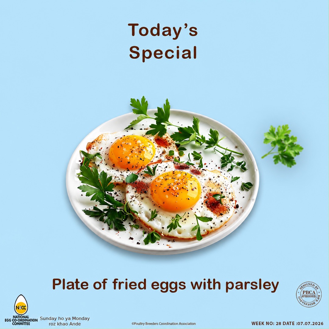 Vencobbfresh's tweet photo. #Necc #eggrecipe #plateoffriedeggswithparsley #EggRecipe #EggLovers #EggSpecial #ProteinFood #TastyFood #FoodLovers #TodaySpecial https://t.co/naZsxpZhZN