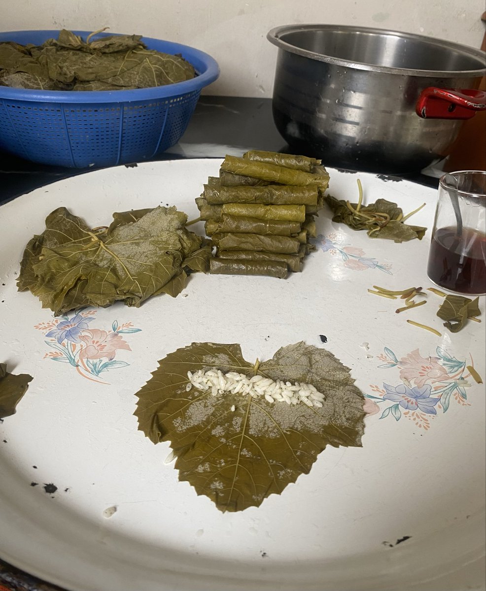 karadutlusoda0's tweet photo. En Tokatlı özelliğim gittiğim her yere yaprak götürmem ve o yaprağı bana sardırmaları https://t.co/AazjylXj2I
