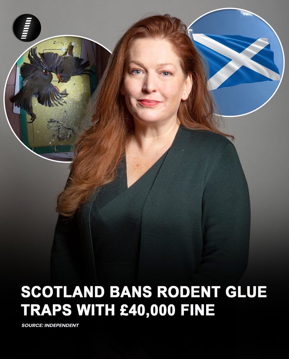 domdyer70's tweet photo. Well done Scotland https://t.co/OT5SUKX7L3